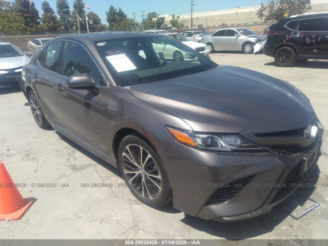 TOYOTA CAMRY 2020 4t1g31ak4lu010423