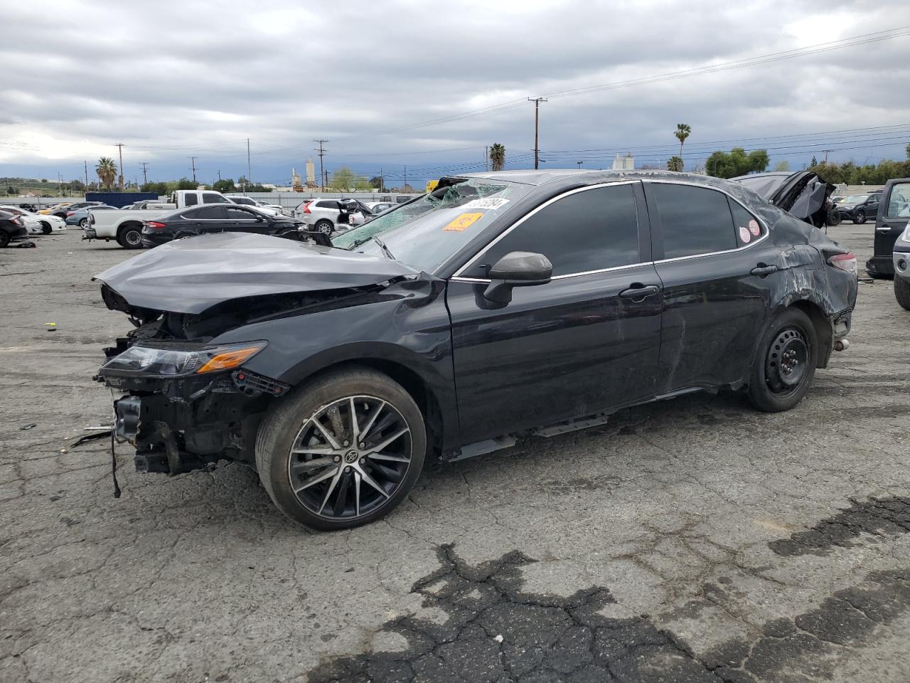 TOYOTA CAMRY 2021 4t1g31ak4mu560836