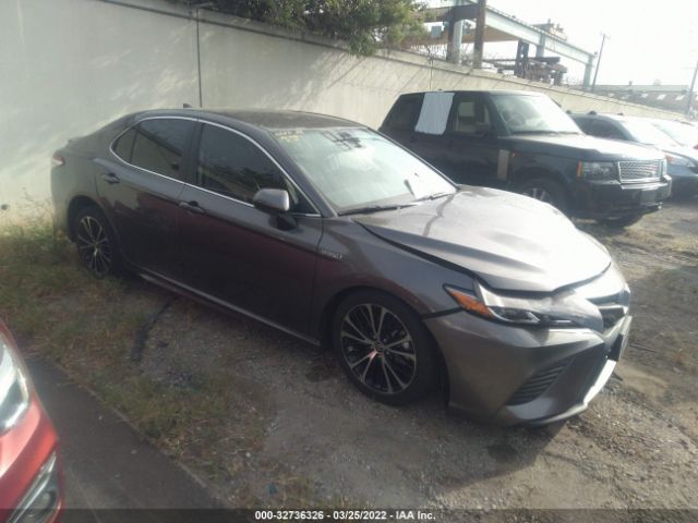 TOYOTA CAMRY 2020 4t1g31ak5lu535474