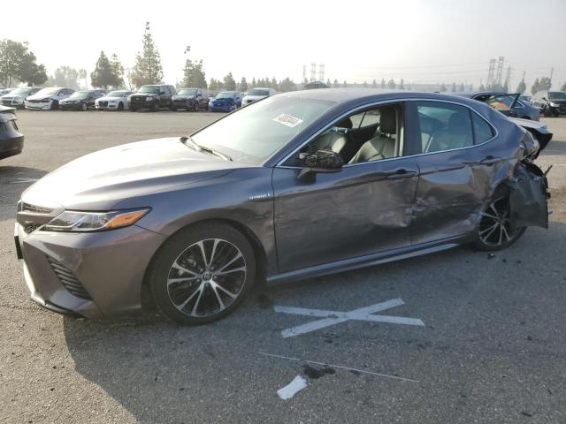 TOYOTA CAMRY 2020 4t1g31ak6lu015221