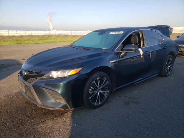 TOYOTA CAMRY 2020 4t1g31ak6lu528954