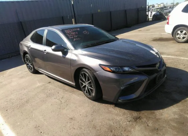 TOYOTA CAMRY 2021 4t1g31ak6mu026429