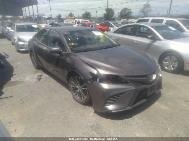 TOYOTA CAMRY 2020 4t1g31ak7lu533404