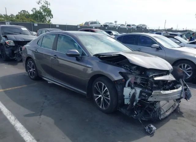 TOYOTA CAMRY 2020 4t1g31ak7lu533788