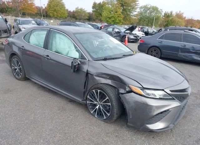 TOYOTA CAMRY 2020 4t1g31ak7lu544404