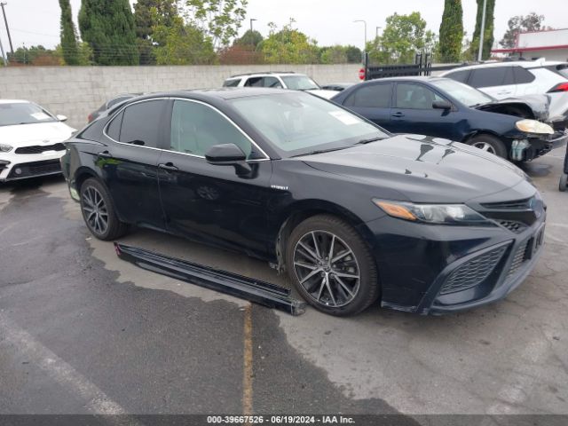 TOYOTA CAMRY 2021 4t1g31ak7mu026455