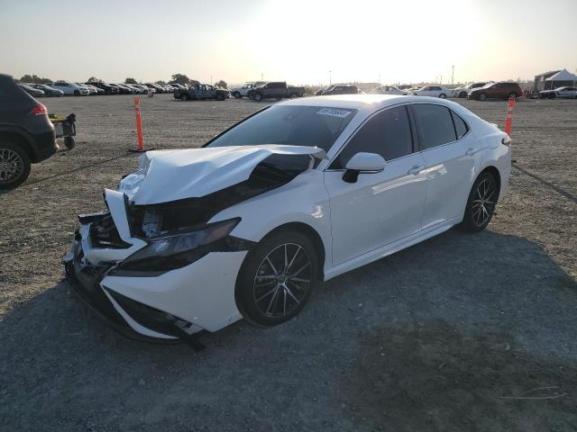 TOYOTA CAMRY NIGH 2022 4t1g31ak7nu599616