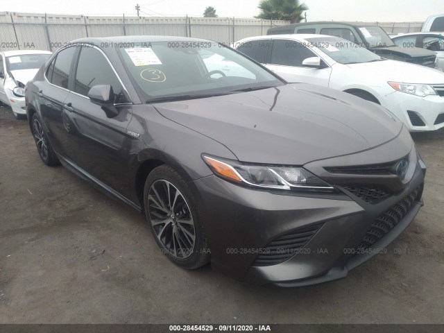 TOYOTA CAMRY 2020 4t1g31ak8lu531743