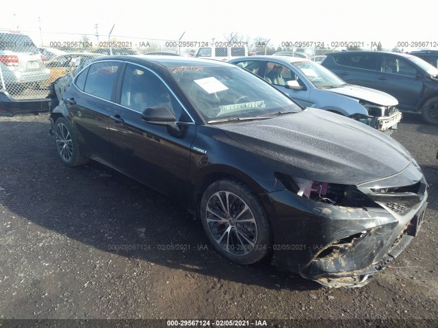 TOYOTA CAMRY 2020 4t1g31ak8lu538515