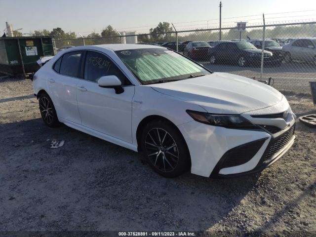 TOYOTA CAMRY 2021 4t1g31ak9mu024397