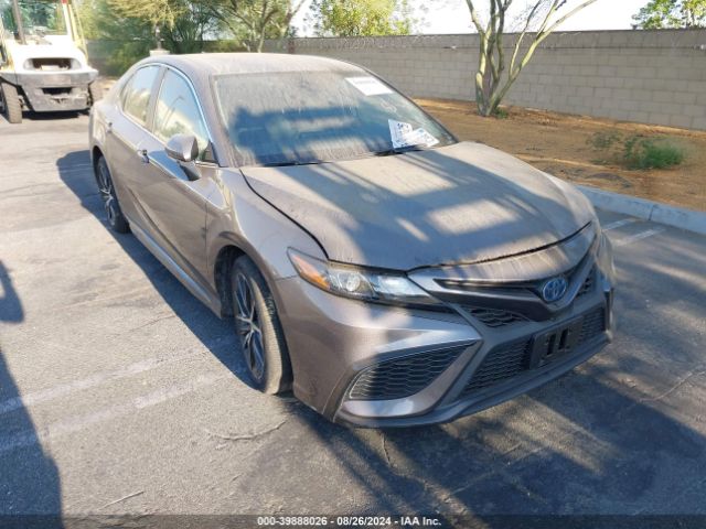 TOYOTA CAMRY 2022 4t1g31ak9nu042609