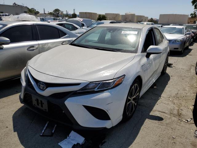 TOYOTA CAMRY 2020 4t1g31akxlu533560