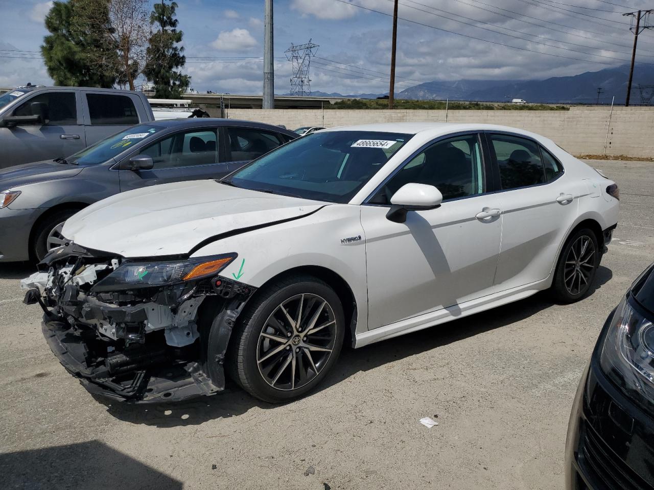 TOYOTA CAMRY 2021 4t1g31akxmu029320