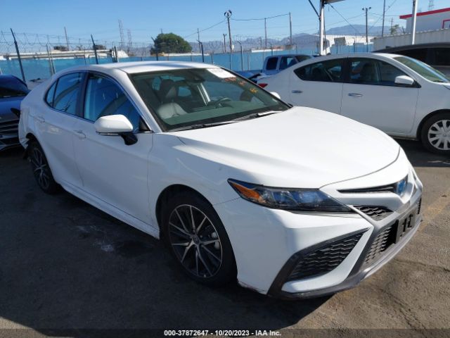 TOYOTA CAMRY 2022 4t1g31akxnu595415