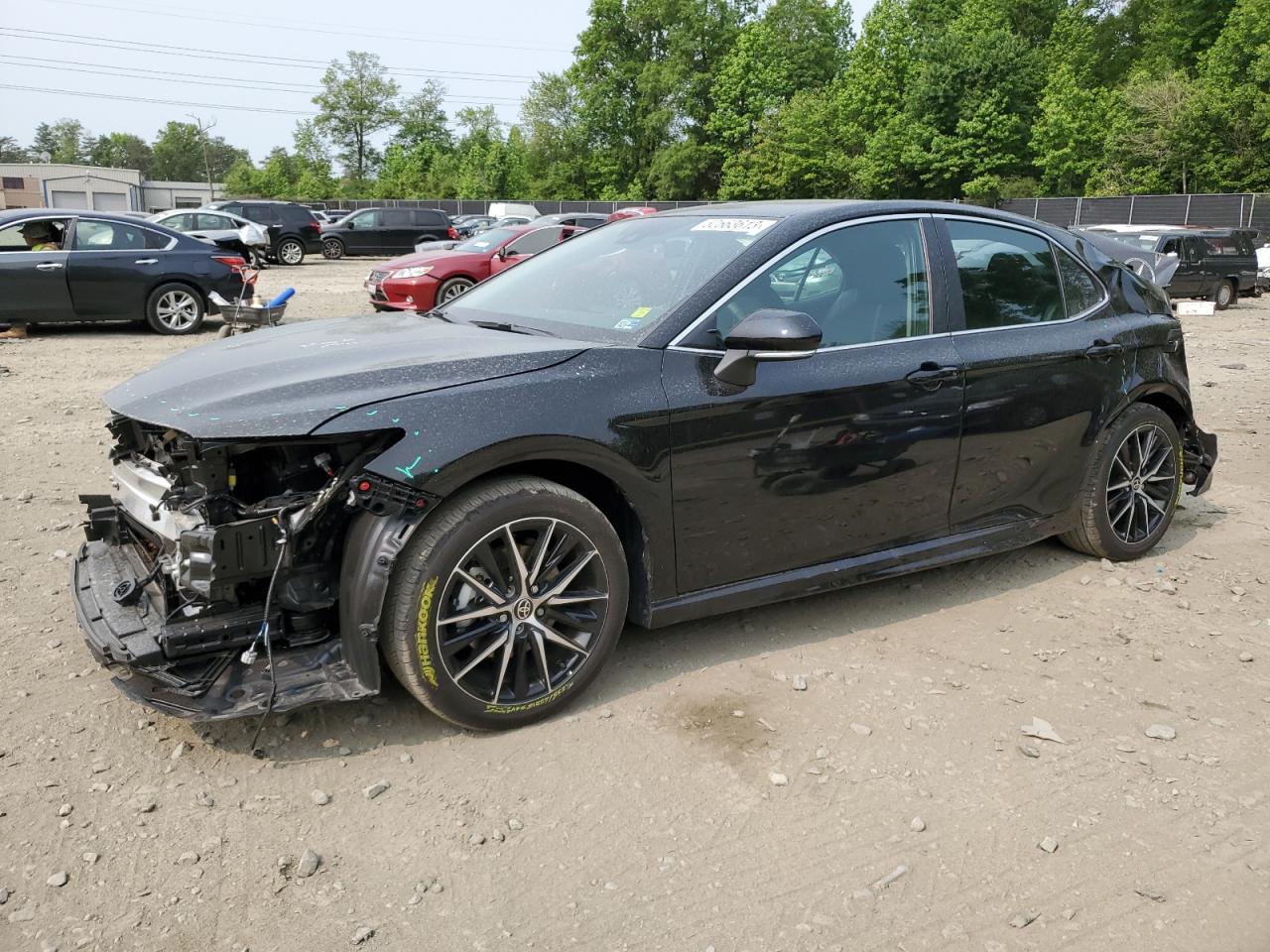 TOYOTA CAMRY 2023 4t1g31akxpu608358