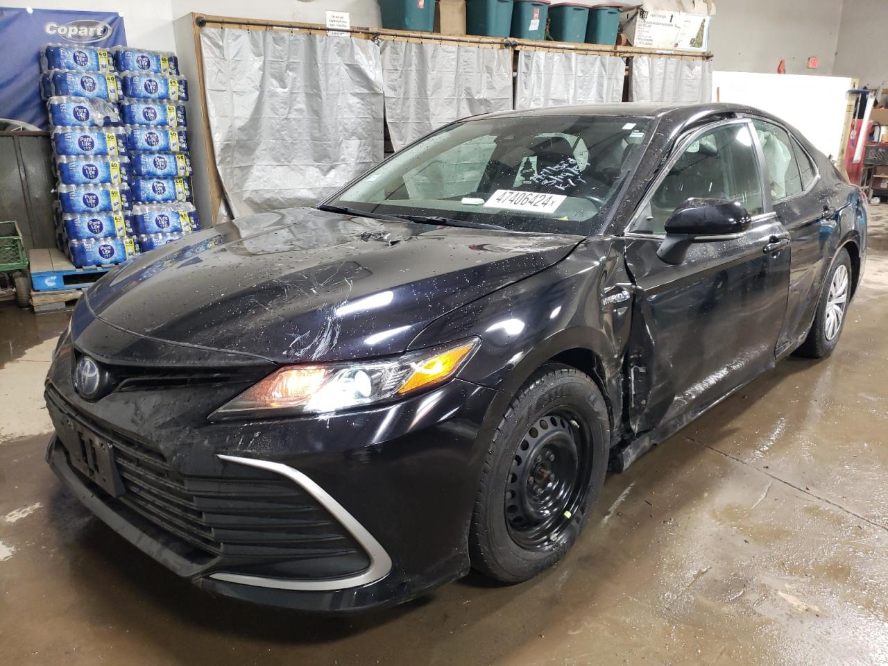 TOYOTA CAMRY 2021 4t1h31akxmu021299