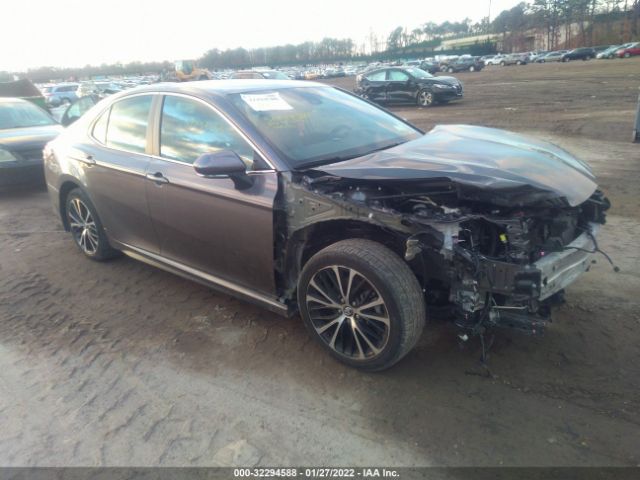 TOYOTA CAMRY 2020 4t1j11ak0lu941271