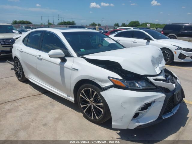 TOYOTA CAMRY 2020 4t1j31ak1lu014371