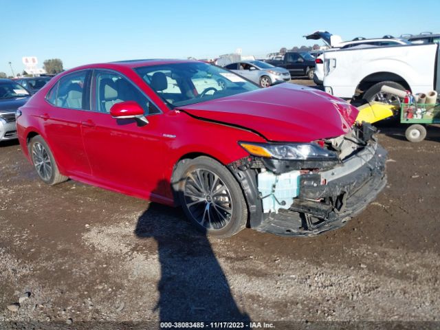 TOYOTA CAMRY 2020 4t1j31ak2lu013858