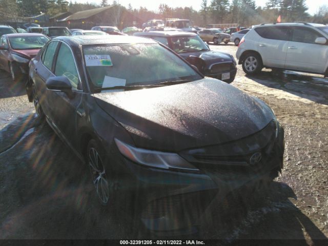 TOYOTA CAMRY 2020 4t1j31ak5lu531480