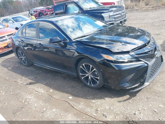 TOYOTA CAMRY 2020 4t1j31ak5lu546206