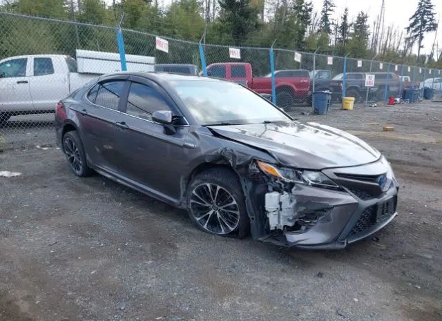 TOYOTA CAMRY 2020 4t1j31akxlu543849