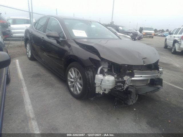 TOYOTA CAMRY 2020 4t1l11ak3lu889658