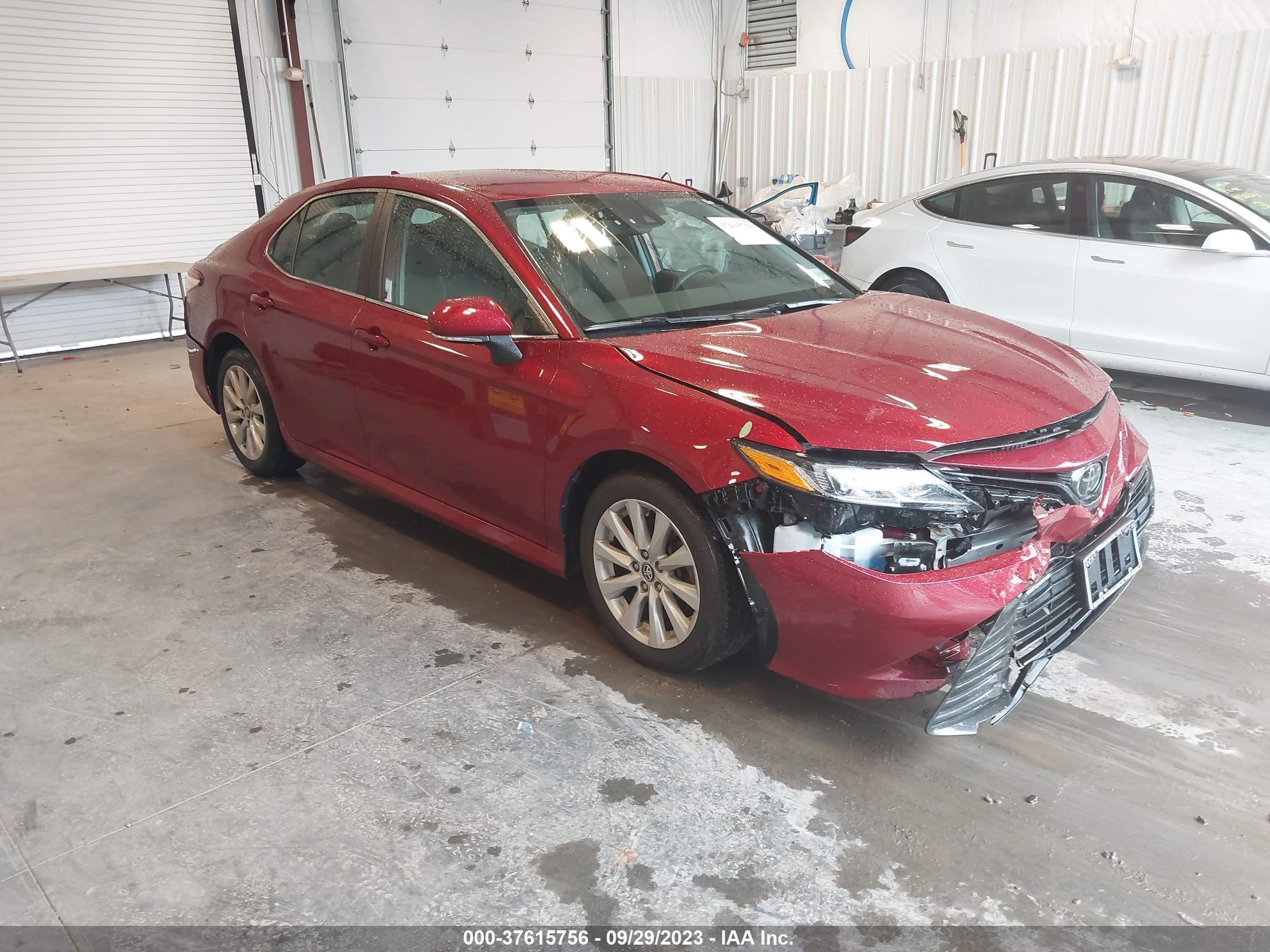 TOYOTA CAMRY 2020 4t1l11akxlu893299