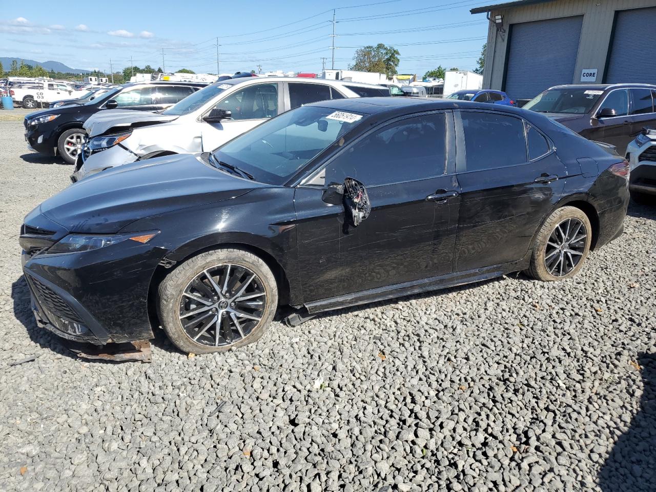 TOYOTA CAMRY 2022 4t1s31ak1nu576391