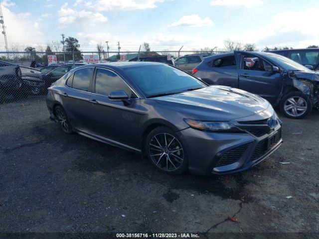 TOYOTA CAMRY 2022 4t1s31ak2nu590509