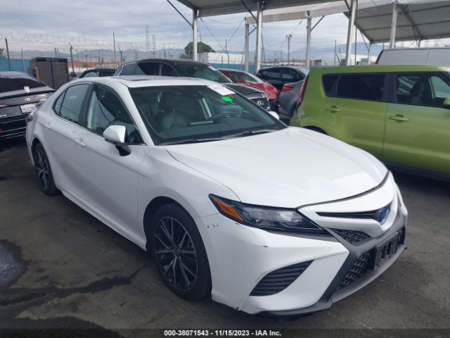 TOYOTA CAMRY 2023 4t1s31ak2pu610017