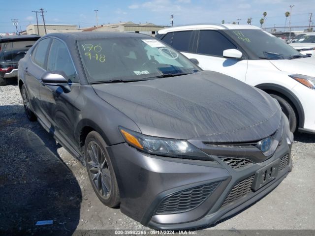 TOYOTA CAMRY 2023 4t1s31ak6pu612871