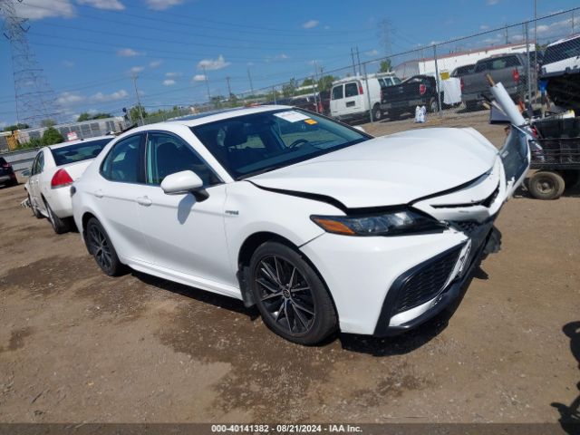 TOYOTA CAMRY 2021 4t1s31akxmu562682