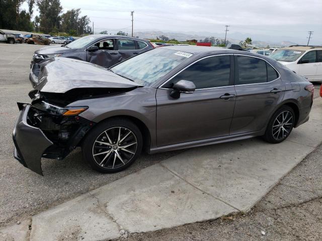 TOYOTA CAMRY 2023 4t1t11ak0pu147577