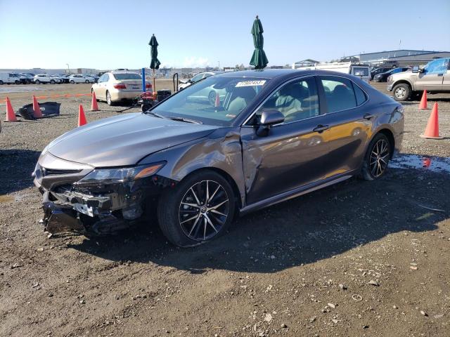 TOYOTA CAMRY 2023 4t1t11bk9pu077902