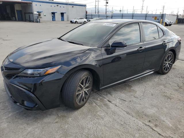 TOYOTA CAMRY 2024 4t1t31ak2ru064939