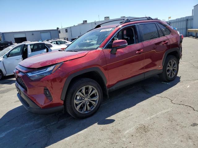 TOYOTA RAV4 XLE P 2024 4t3b6rfv0ru155509