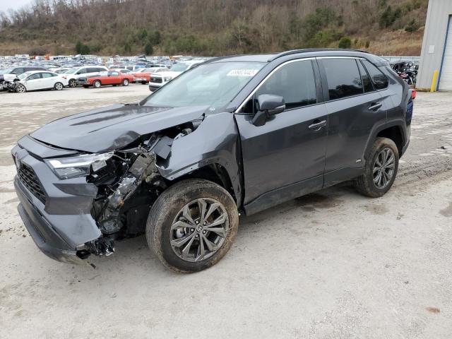 TOYOTA RAV4 XLE P 2022 4t3b6rfv1nu070205