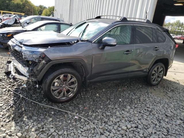 TOYOTA RAV4 2022 4t3b6rfv9nu091979