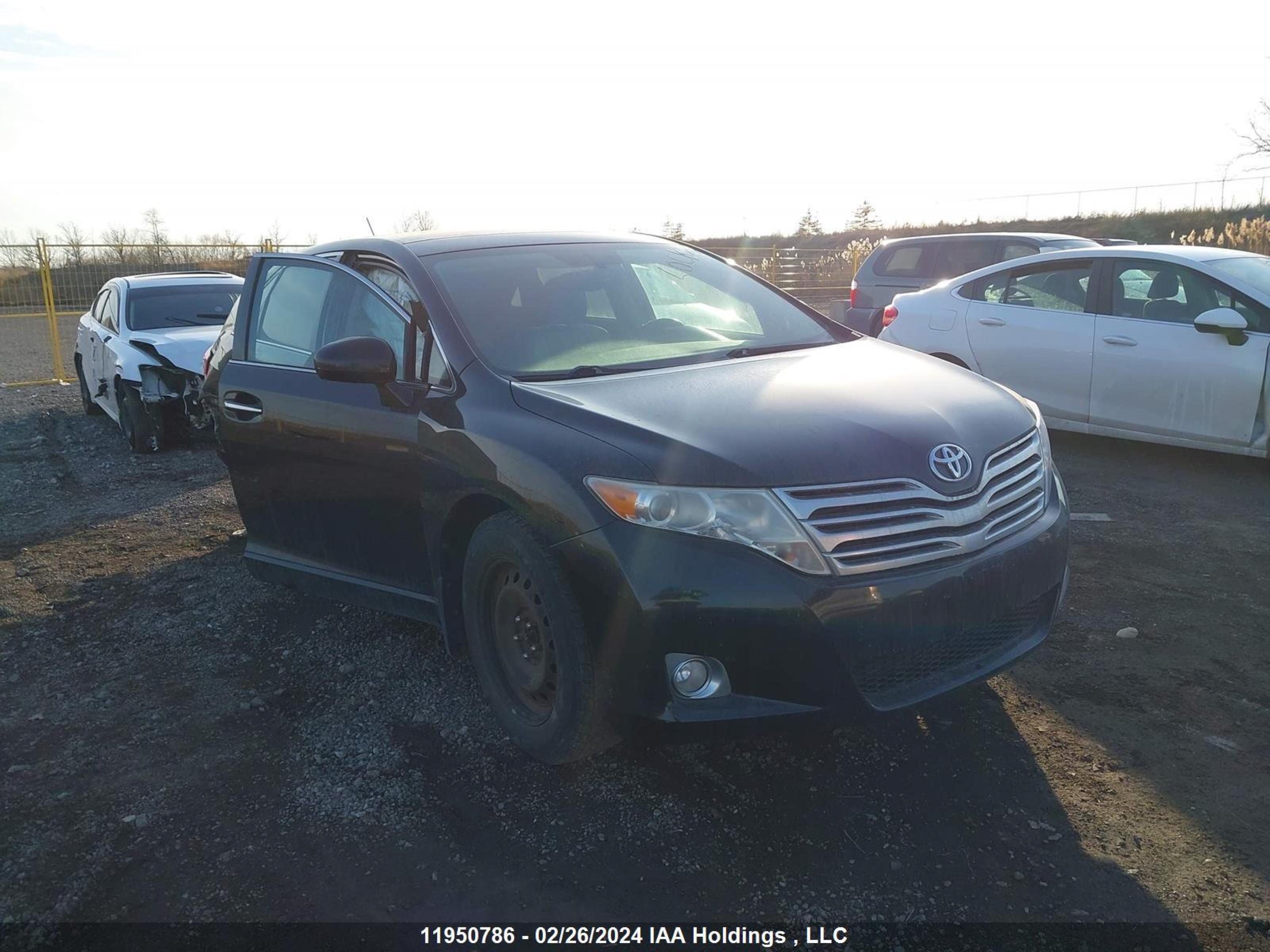 TOYOTA VENZA 2009 4t3bk11a29u009436