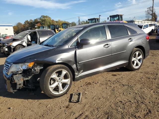 TOYOTA VENZA 2009 4t3bk11a49u004318