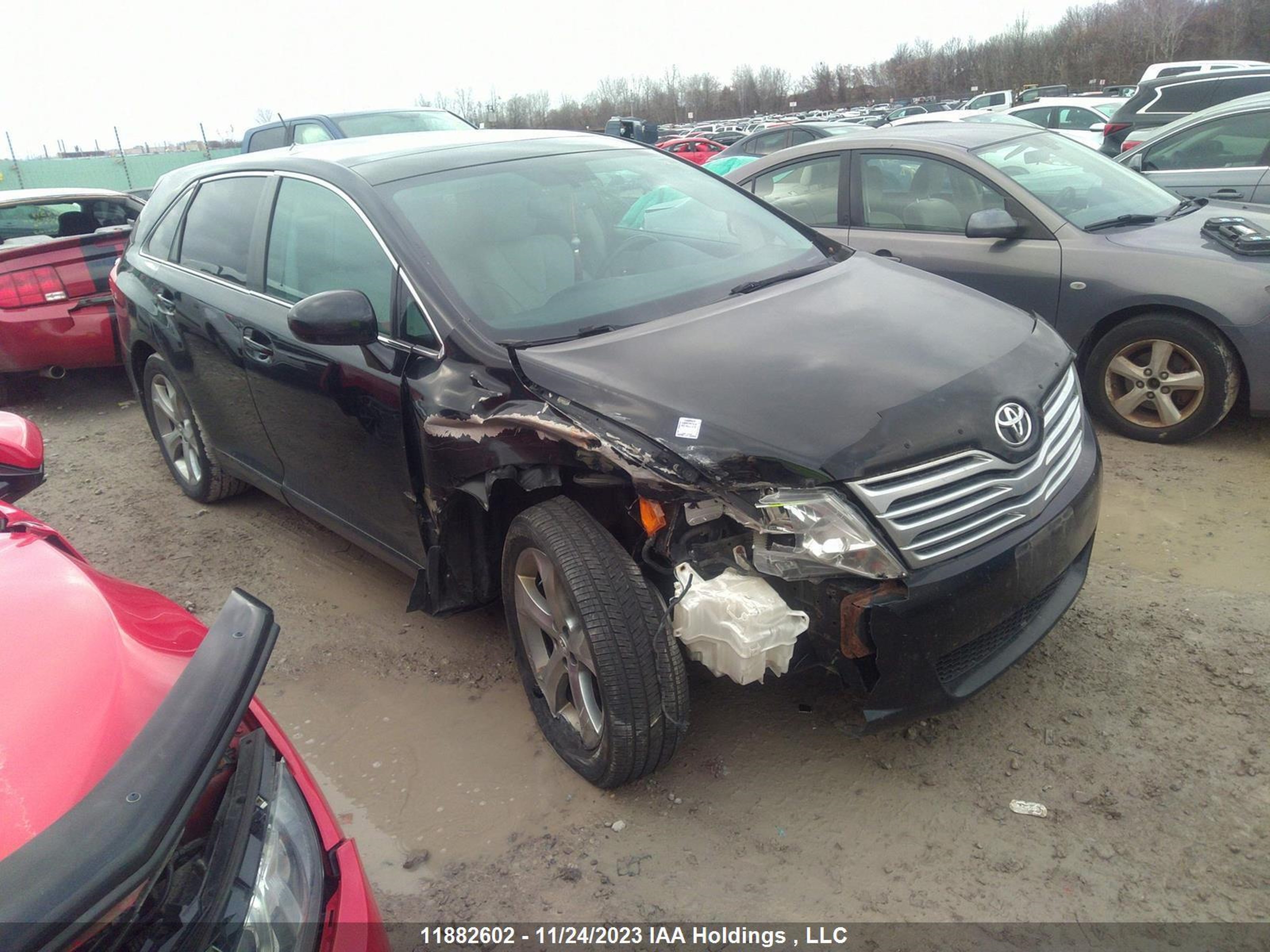 TOYOTA VENZA 2011 4t3bk3bb1bu046423