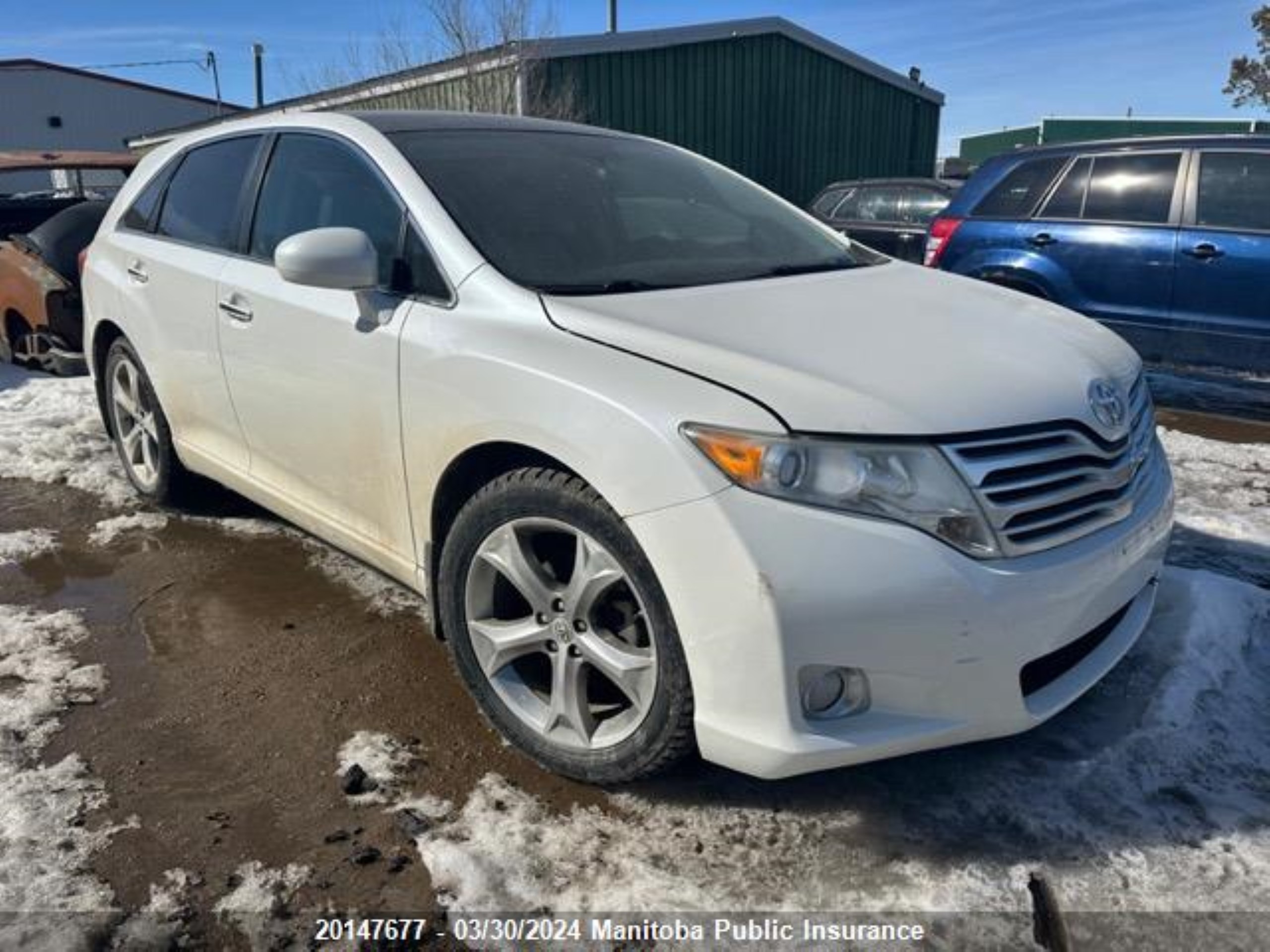 TOYOTA VENZA 2011 4t3bk3bb3bu060937