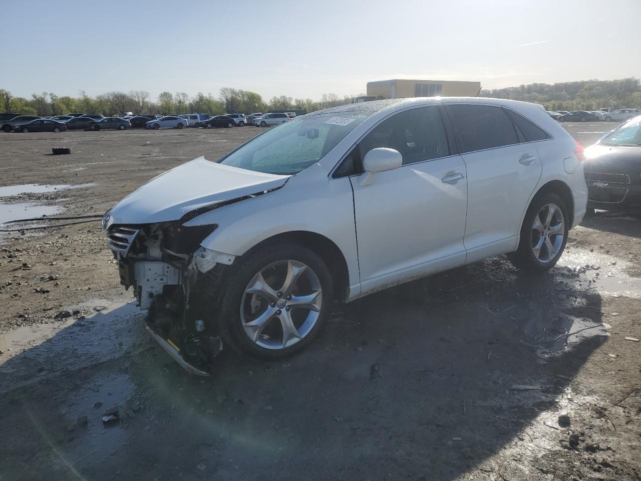 TOYOTA VENZA 2010 4t3bk3bb4au034698