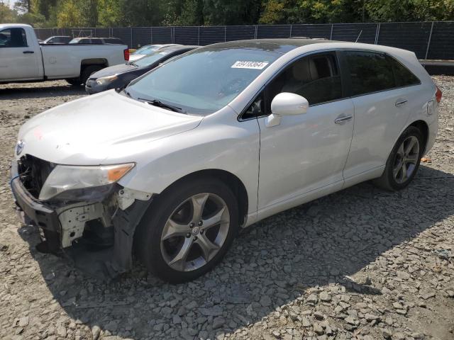 TOYOTA VENZA 2010 4t3bk3bb6au037134