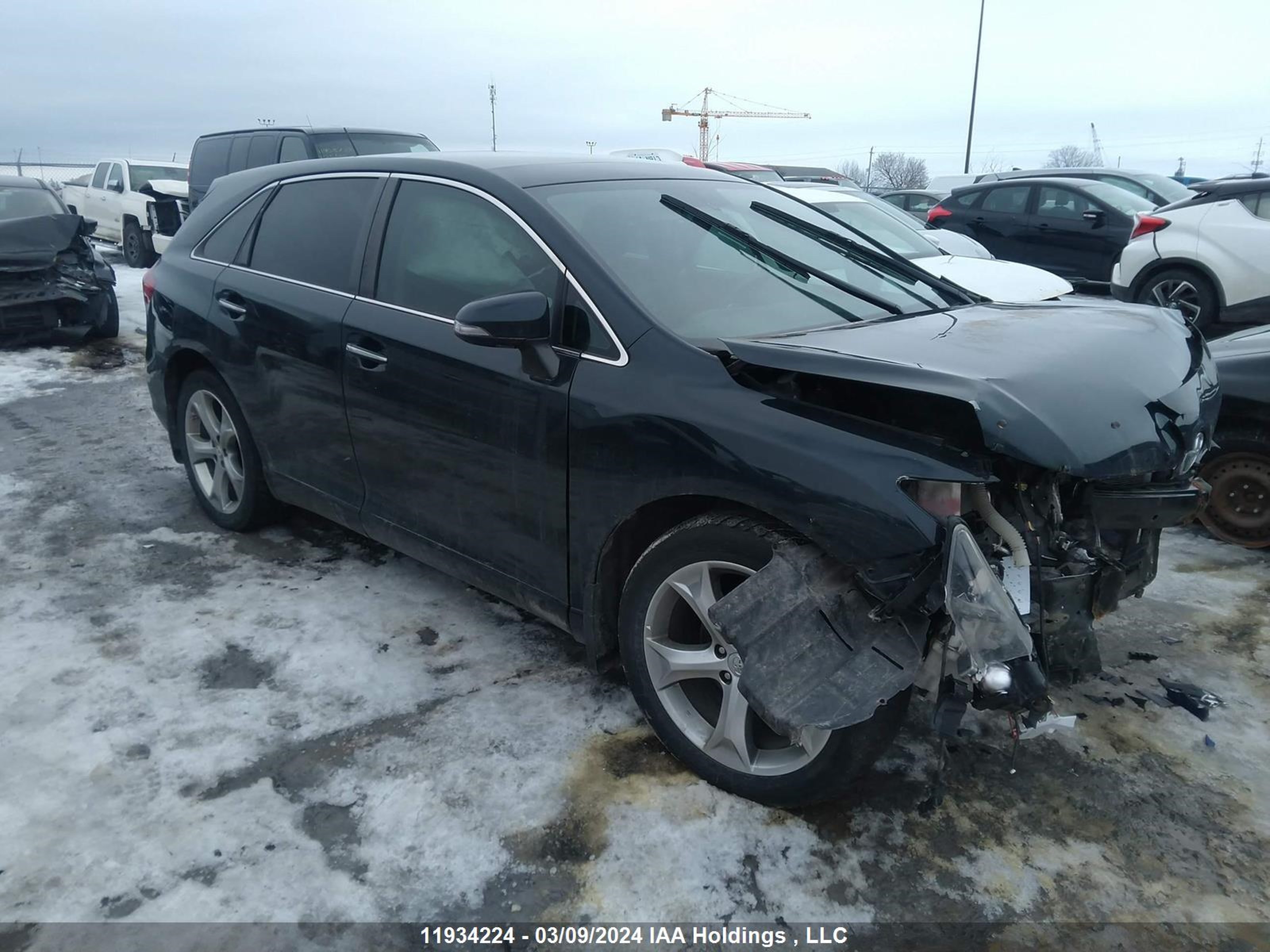 TOYOTA VENZA 2016 4t3bk3bb6gu124721