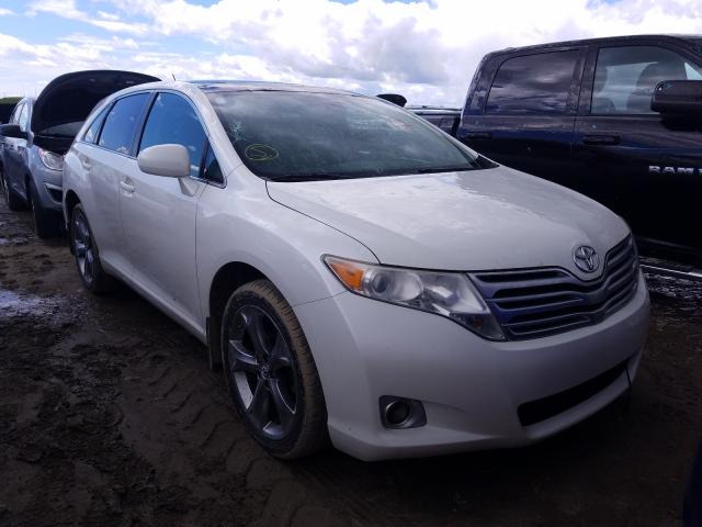 TOYOTA VENZA 2010 4t3bk3bbxau037704