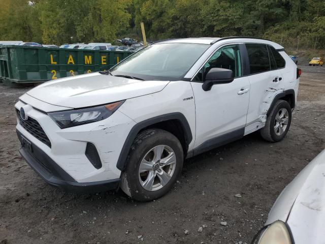 TOYOTA RAV4 LE 2021 4t3lwrfv1mu040298