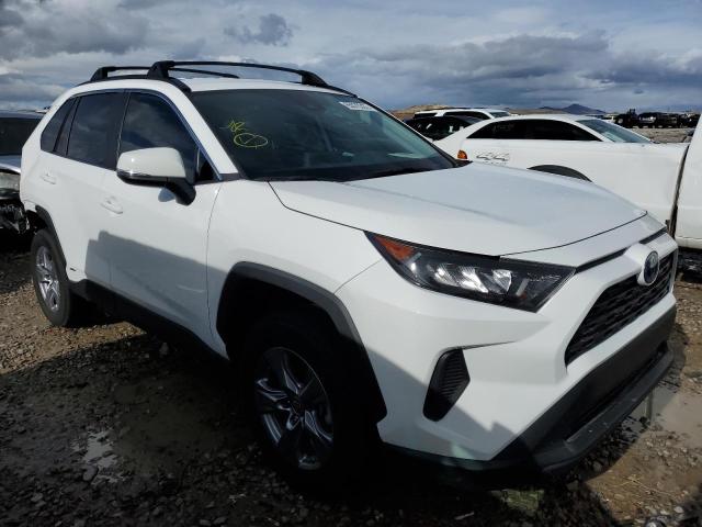 TOYOTA RAV4 LE 2022 4t3mwrfv3nu067668