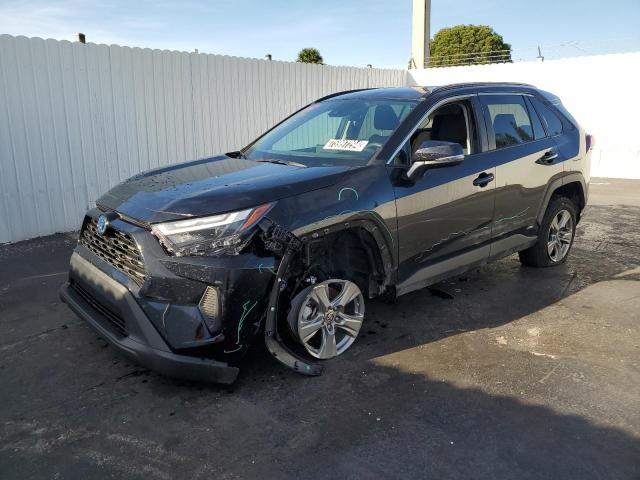 TOYOTA RAV4 LE 2024 4t3mwrfv5ru146636